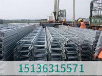 大跨距梯式橋架3